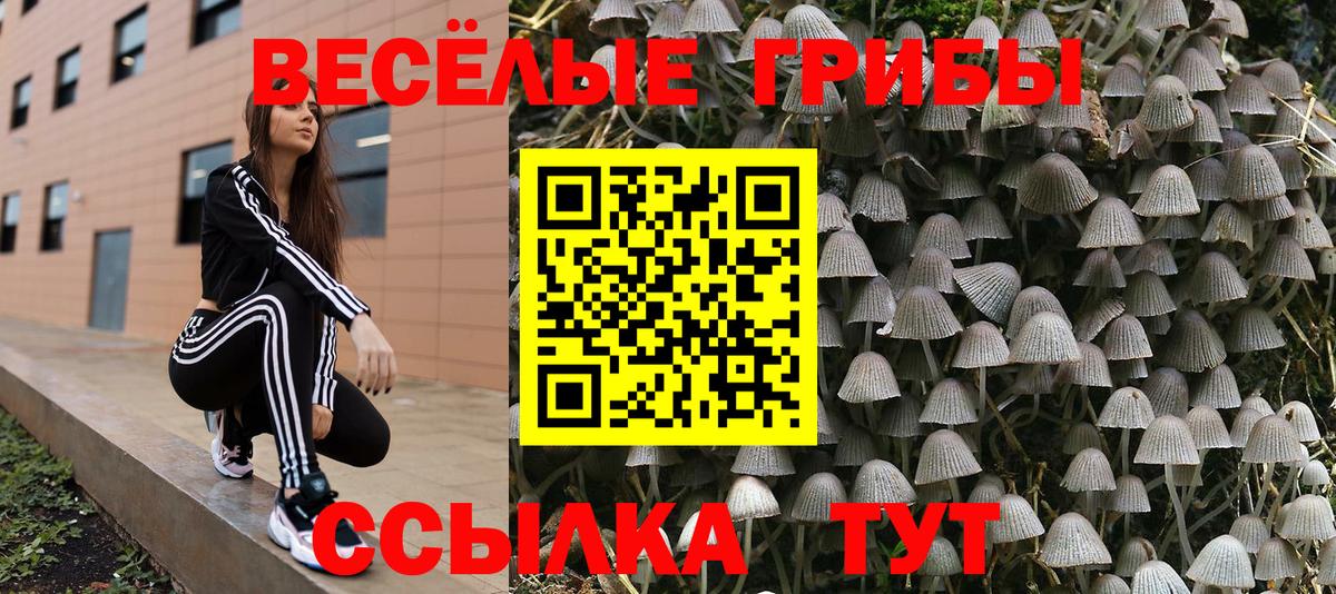 Псилоцибиновые грибы Magic Shrooms Кингисепп