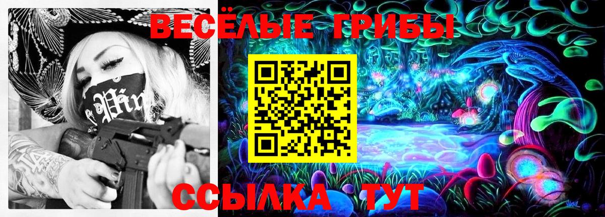 Псилоцибиновые грибы GOLDEN TEACHER  Вход с VPN  Псилоцибиновые грибы Cubensis  Кингисепп 