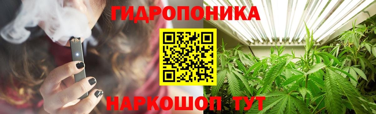 Бошки Шишки OG Kush  Вход с VPN  Канабис OG Kush  Канабис MAZAR  Каннабис MAZAR  Кингисепп 